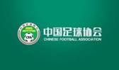 记者:云南玉昆遭遇顶格处罚,足协反腐背景下选择“乱世用重典”