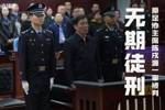 陈戌源被判无期徒刑，实际执行的刑期不能少于十三年