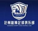 媒体人：沧州雄狮资金并非市政府拨付，而是由股东筹措注资